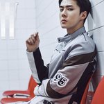 오세훈 <b>벨루</b>티랑 잘어울리는듯