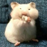 [댓글부탁해] 친구생일선물 또 뭐<b>사징</b>