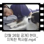 [SKZ] 현진이x까미 <b>케미</b> 보는 날