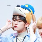 [이것좀봐줘] 오늘은 <b>리노</b>로 정함