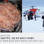 [방탈죄송] 크릴<b>오일</b> 작작좀 드세요 제발