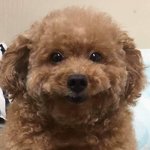 [드루와] 얼굴형 때문에 미칠것같음 스트레스 개오져