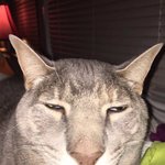 [댓글부탁해] 나 <b>반포</b>주공 사는데ㄹㅇ