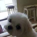 [ㅋㅋㅋㅋㅋ] 사진 한번 찍기 드럽게 힘드네