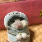 [댓글부탁해] 나 김판녀 명곡 추천한다