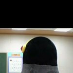 [댓글부탁해] <b>펭수</b>가 펭귄이라는거 다들 왜 믿는거임?
