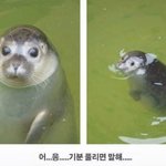 얘들아!! 걱정 여기다 버리고 가❤️