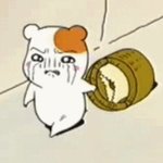 [드루와] 얘들아 <b>마이</b>는 어떻게 줄여?
