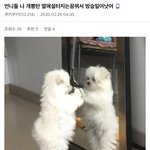 [BL] 너네는 이 키워드가 없으면 벨 못<b>본다</b> 하는 키워드 있음?