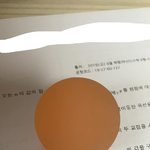 [19] 인증 추가!!!+) 이거 합성같냐 <b>탱탱</b>볼 올려둔거같냐???