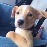 나 <b>말주변</b>이 없는데