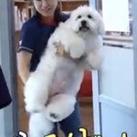 얘 개기<b>엽지</b>ㅜㅜ