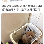 아니 <b>환기</b> 시키는데 자꾸 담배냄새 들어와;;;;;;;