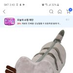 <b>필통</b> 추반 점