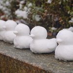 [댓글부탁해] 너네 <b>PPT</b> 템플릿 다운받을때