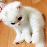 <b>기상</b>