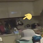 [EXO] 펭귄 <b>장갑</b> 경수꺼 맞다더라ㅋㅋㅋㅋ