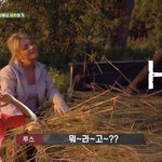 심심한 판녀들아 ㅠㅠ디스커버리 꼭봐