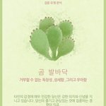 얘들아 이런 거 재밌지않냐!!