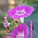 [댓글부탁해] 너네 <b>스벅</b> 닉네임 뭐야?