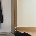 ㅅㅂ 아까 조카 어이없는 일 있었음;