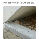 [드루와] 반<b>배정</b> 진짜 망했는데 어떡해..