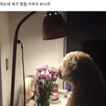 [드루와] 너네 같음 생일선물 줄거같애?