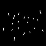 [<b>비듬</b>] <b>비듬</b>