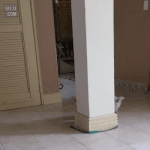 [EXO] 딱 아전인수 [我田引水]