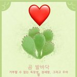 포레스트 짝 찾아보자ㄲㄱㄱ