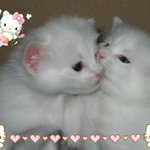 [댓글부탁해] 이거<b>찐따</b>같음?