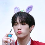 [댓글부탁해] 얘들아 얘 강<b>쥐상</b>이야 고냥이상이야