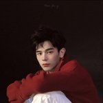 나 작년부터 야<b>오치</b> 팬이었는데