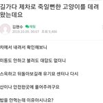 안흔한 웃긴짤 풀<b>고감</b>