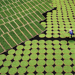 눈에 선해서 감동뿐인 사진들