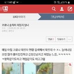 [댓글부탁해] <b>ALL</b>