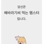 [드루와] 너희 fonfon 결과 뭐 나왔어 ??