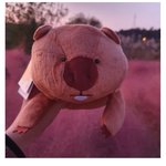 [드루와] 필통추반해주면 가는길마다<b>초록불</b>