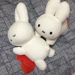 인스타계정은팟는데