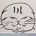 [드루와] 강남학교애가 나한테 <b>개한</b>심하대