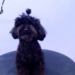 [EXO] 토벤이의 입금 <b>전후</b>