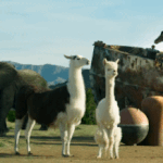 [모두드루와] 방탄 <b>최단</b>기간 뮤비 1억 찍을거같아??