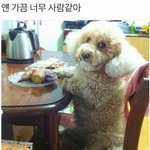 [드루와] 내가 유일하게 하나 자신있게 말할수 있는건