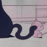 [댓글부탁해] Don't <b>be</b> afraid of the cat without...