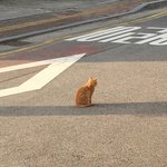 남친이 내 가슴 쪼물거렸는데