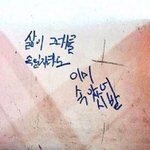 [댓글부탁해] 나 예전에 중국인한테 첫눈에반했었는데..