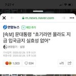 중국인 <b>입국</b>금지