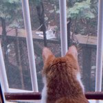 오늘도 로미오와 줄리엣 찍는