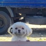 [댓글부탁해] 나 계속 마름 <b>기침</b> 나오는데