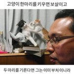 이러다가 대구 <b>여름방학</b> 없어지는 거 아니냐며...